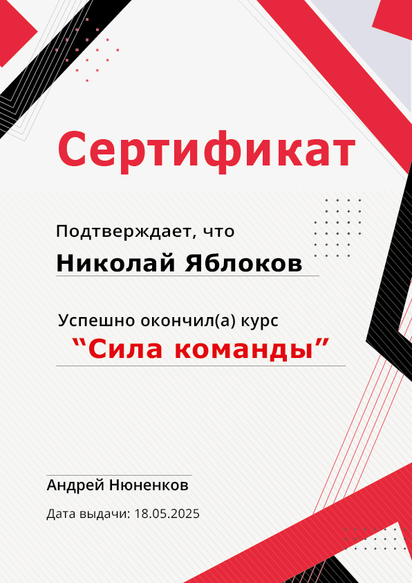  по курсу  «Сила команды» 